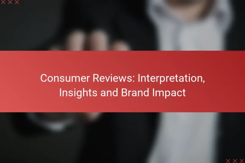 Consumer Reviews: Interpretation, Insights and Brand Impact