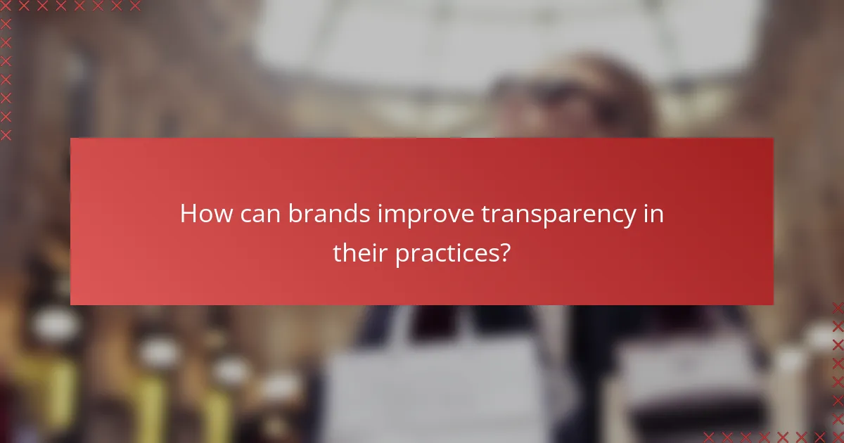 How can brands improve transparency in their practices?