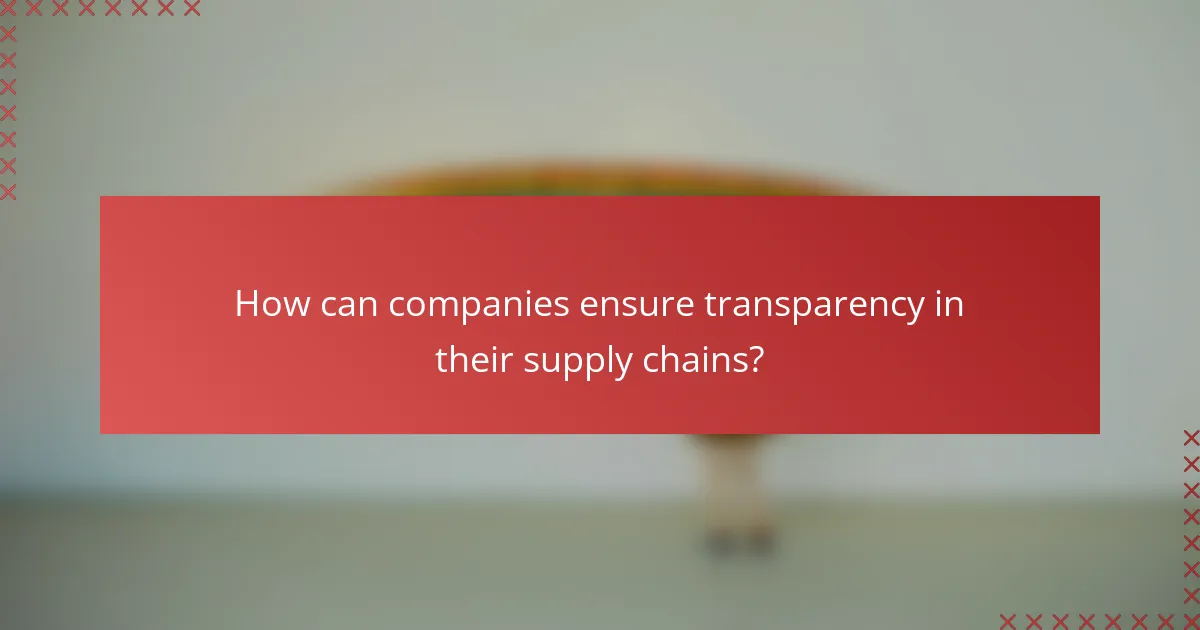 How can companies ensure transparency in their supply chains?