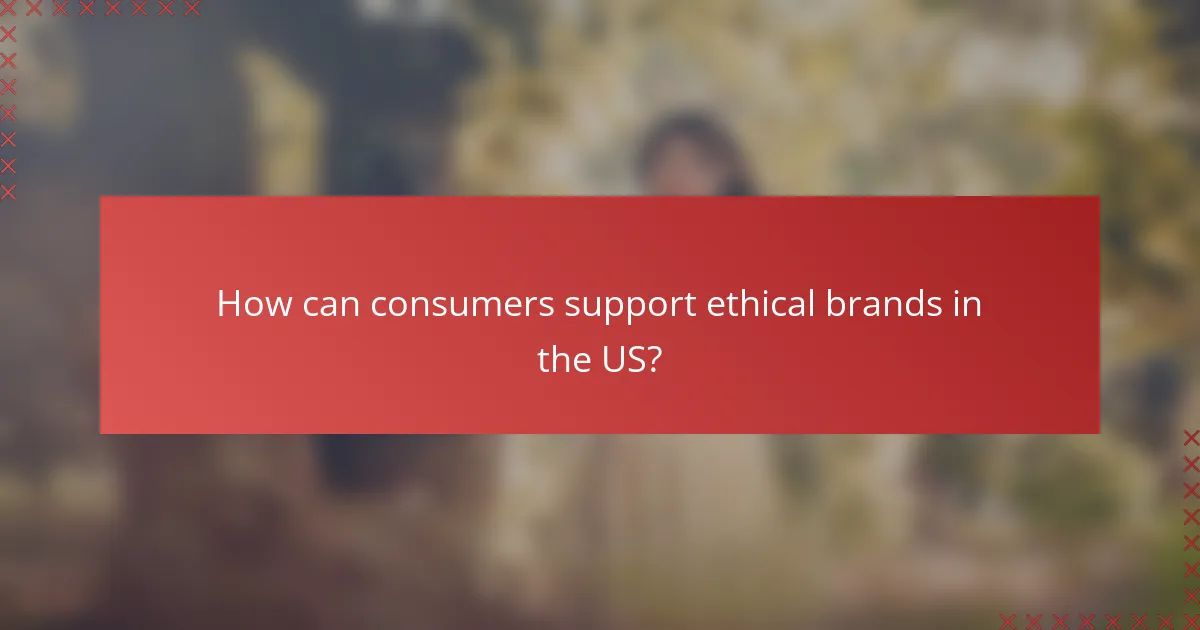How can consumers support ethical brands in the US?