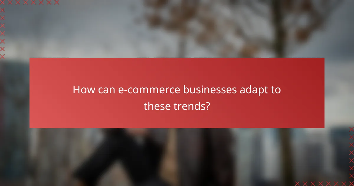 How can e-commerce businesses adapt to these trends?