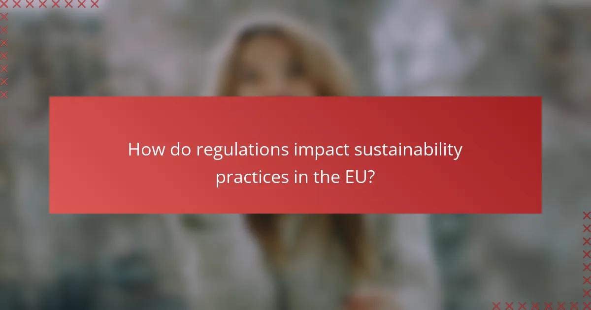 How do regulations impact sustainability practices in the EU?