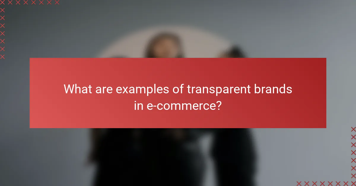 What are examples of transparent brands in e-commerce?