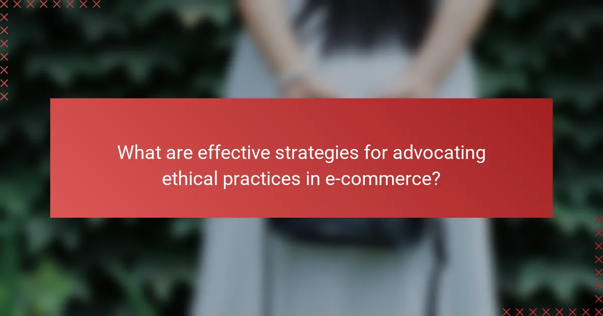 What are effective strategies for advocating ethical practices in e-commerce?