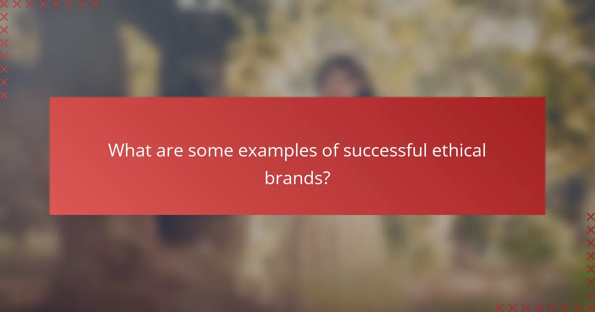 What are some examples of successful ethical brands?