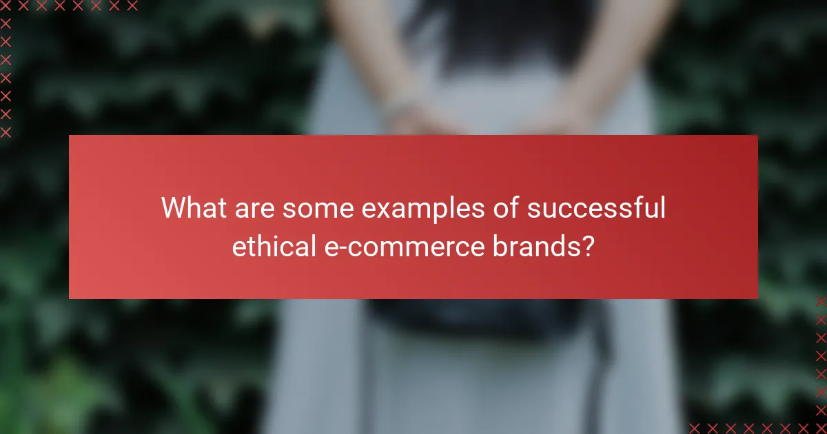 What are some examples of successful ethical e-commerce brands?