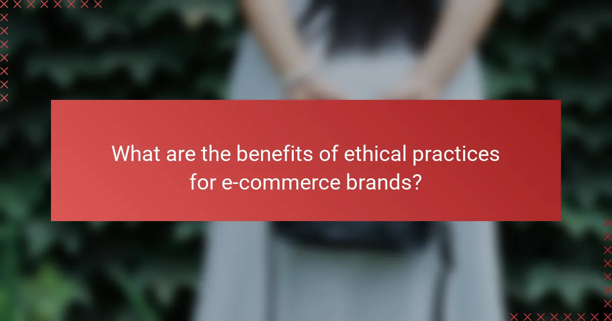 What are the benefits of ethical practices for e-commerce brands?