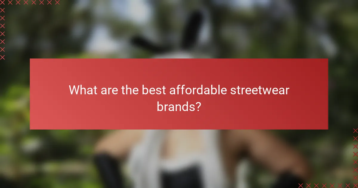 What are the best affordable streetwear brands?