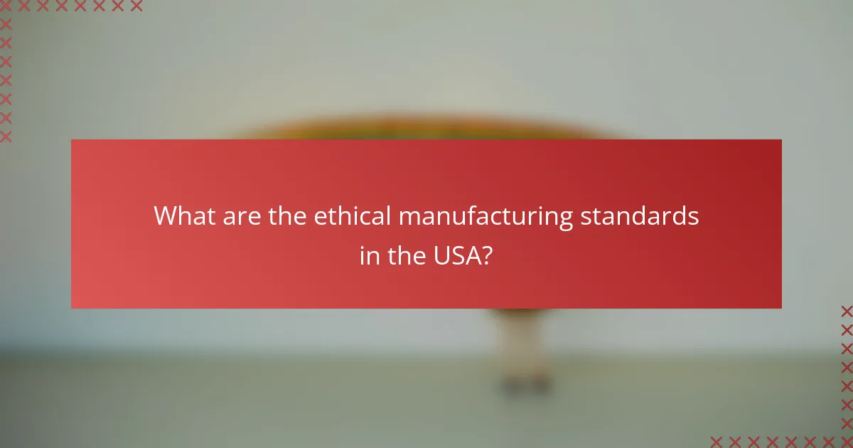 What are the ethical manufacturing standards in the USA?