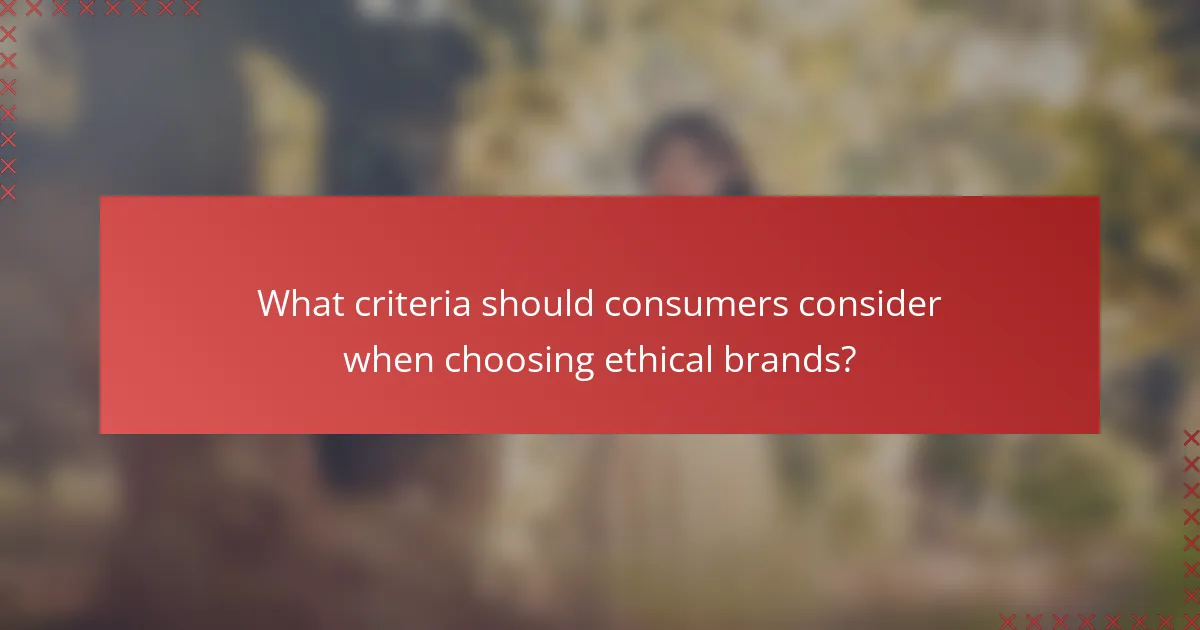 What criteria should consumers consider when choosing ethical brands?