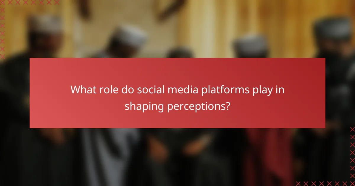 What role do social media platforms play in shaping perceptions?